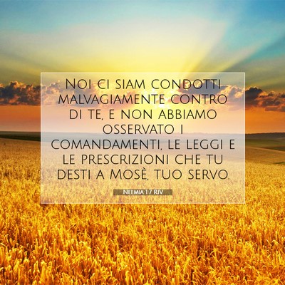 Picture 07 - Neemia 1:7 RIV - Noi ci siam condotti malvagiamente contro di te, - Bible Verse Picture