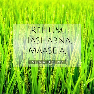 Picture 07 - Neemia 10:25 RIV - Rehum, Hashabna, - Bible Verse Picture