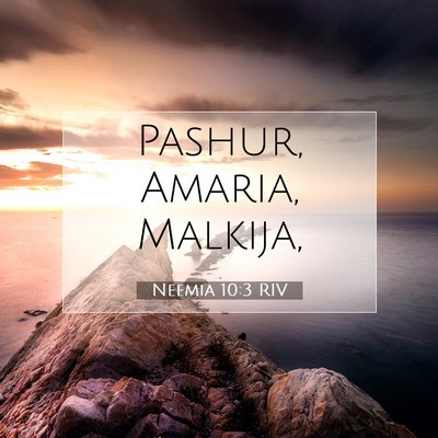Picture 07 - Neemia 10:3 RIV - Pashur, Amaria, - Bible Verse Picture