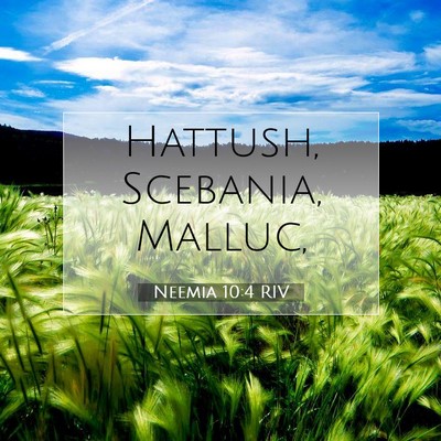Picture 07 - Neemia 10:4 RIV - Hattush, Scebania, - Bible Verse Picture