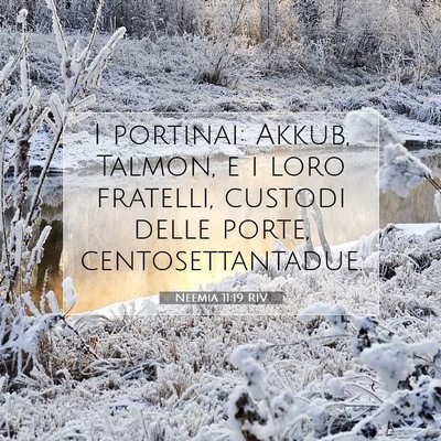 Picture 07 - Neemia 11:19 RIV - I portinai: Akkub, Talmon, e i loro fratelli, - Bible Verse Picture