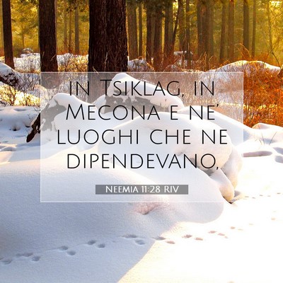 Picture 07 - Neemia 11:28 RIV - in Tsiklag, in Mecona e ne’ luoghi che ne - Bible Verse Picture