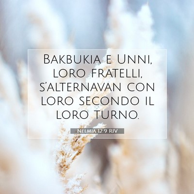 Picture 07 - Neemia 12:9 RIV - Bakbukia e Unni, loro fratelli, s’alternavan - Bible Verse Picture