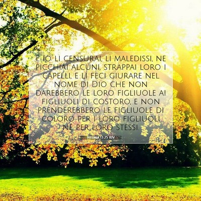 Picture 07 - Neemia 13:25 RIV - E io li censurai, li maledissi, ne picchiai - Bible Verse Picture