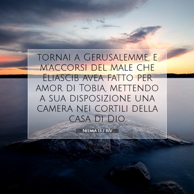 Picture 07 - Neemia 13:7 RIV - tornai a Gerusalemme, e m’accorsi del male che - Bible Verse Picture
