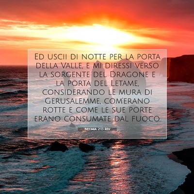 Picture 07 - Neemia 2:13 RIV - Ed uscii di notte per la porta della Valle, e mi - Bible Verse Picture