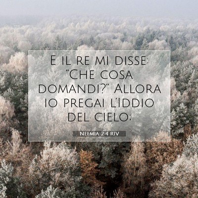 Picture 07 - Neemia 2:4 RIV - E il re mi disse: “Che cosa domandi?” Allora - Bible Verse Picture