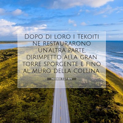 Picture 07 - Neemia 3:27 RIV - Dopo di loro i Tekoiti ne restaurarono un’altra - Bible Verse Picture
