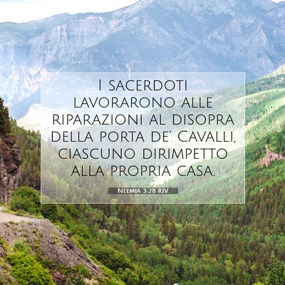 Picture 07 - Neemia 3:28 RIV - I sacerdoti lavorarono alle riparazioni al - Bible Verse Picture