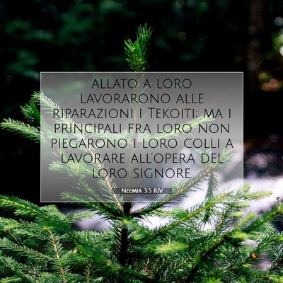 Picture 07 - Neemia 3:5 RIV - allato a loro lavorarono alle riparazioni i - Bible Verse Picture