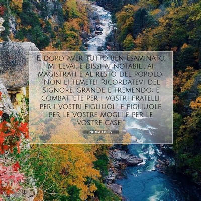 Picture 07 - Neemia 4:14 RIV - E, dopo aver tutto ben esaminato, mi levai, e - Bible Verse Picture