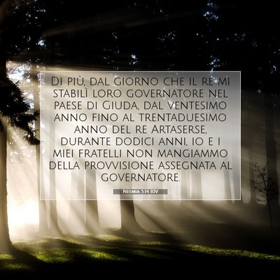 Picture 07 - Neemia 5:14 RIV - Di più, dal giorno che il re mi stabilì loro - Bible Verse Picture