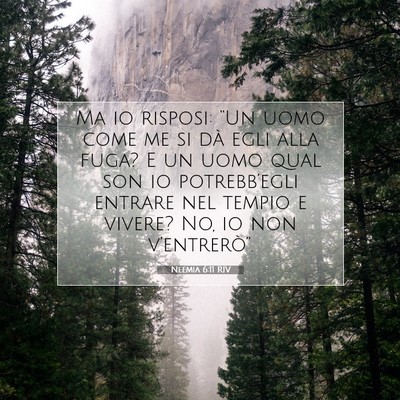 Picture 07 - Neemia 6:11 RIV - Ma io risposi: “Un uomo come me si dà egli - Bible Verse Picture