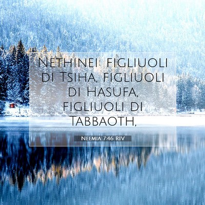 Picture 07 - Neemia 7:46 RIV - Nethinei: figliuoli di Tsiha, figliuoli di - Bible Verse Picture