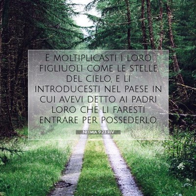 Picture 07 - Neemia 9:23 RIV - E moltiplicasti i loro figliuoli come le stelle - Bible Verse Picture