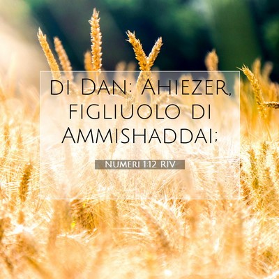 Picture 07 - Numeri 1:12 RIV - di Dan: Ahiezer, figliuolo di - Bible Verse Picture