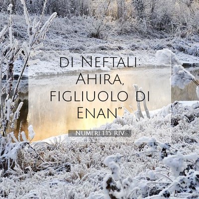 Picture 07 - Numeri 1:15 RIV - di Neftali: Ahira, figliuolo di - Bible Verse Picture