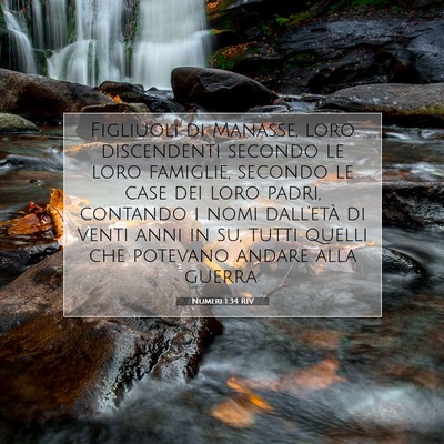 Picture 07 - Numeri 1:34 RIV - Figliuoli di Manasse, loro discendenti secondo le - Bible Verse Picture