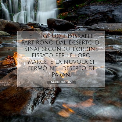 Picture 07 - Numeri 10:12 RIV - E i figliuoli d’Israele partirono dal deserto - Bible Verse Picture