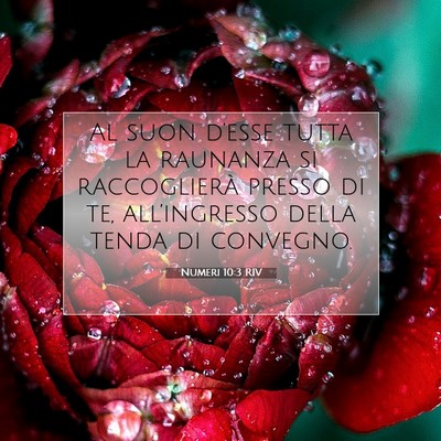 Picture 07 - Numeri 10:3 RIV - Al suon d’esse tutta la raunanza si - Bible Verse Picture
