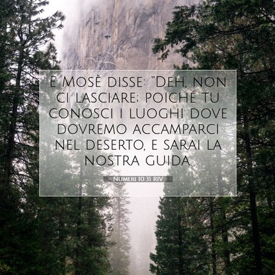 Picture 07 - Numeri 10:31 RIV - E Mosè disse: “Deh, non ci lasciare; poiché - Bible Verse Picture