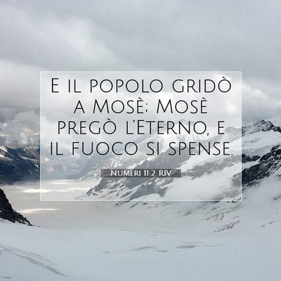 Picture 07 - Numeri 11:2 RIV - E il popolo gridò a Mosè; Mosè pregò - Bible Verse Picture