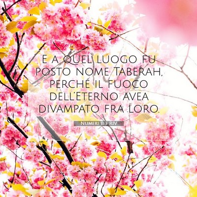 Picture 07 - Numeri 11:3 RIV - E a quel luogo fu posto nome Taberah, perché il - Bible Verse Picture
