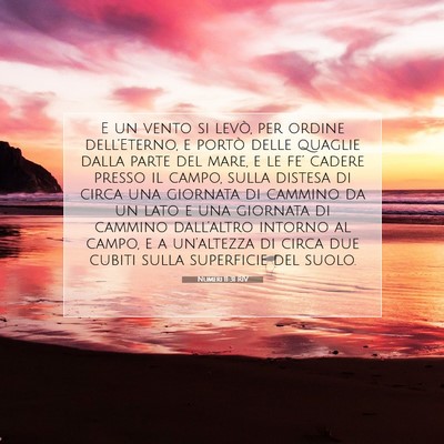 Picture 07 - Numeri 11:31 RIV - E un vento si levò, per ordine dell’Eterno, e - Bible Verse Picture