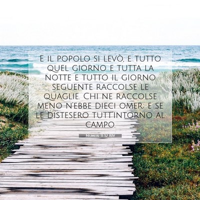 Picture 07 - Numeri 11:32 RIV - E il popolo si levò, e tutto quel giorno e tutta - Bible Verse Picture