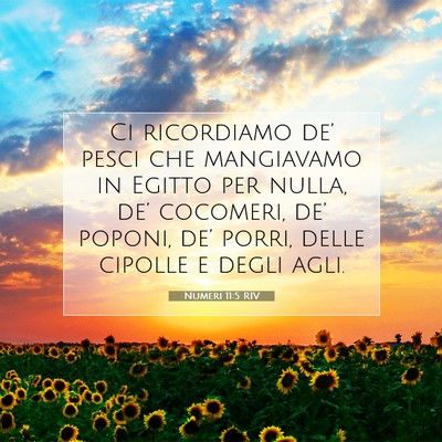 Picture 07 - Numeri 11:5 RIV - Ci ricordiamo de’ pesci che mangiavamo in - Bible Verse Picture