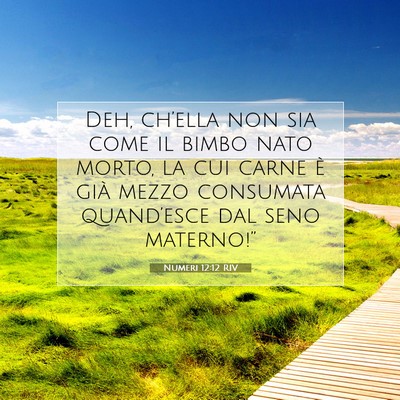 Picture 07 - Numeri 12:12 RIV - Deh, ch’ella non sia come il bimbo nato morto, - Bible Verse Picture