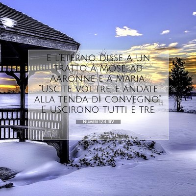 Picture 07 - Numeri 12:4 RIV - E l’Eterno disse a un tratto a Mosè, ad - Bible Verse Picture