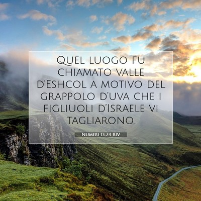 Picture 07 - Numeri 13:24 RIV - Quel luogo fu chiamato valle d’Eshcol a motivo - Bible Verse Picture