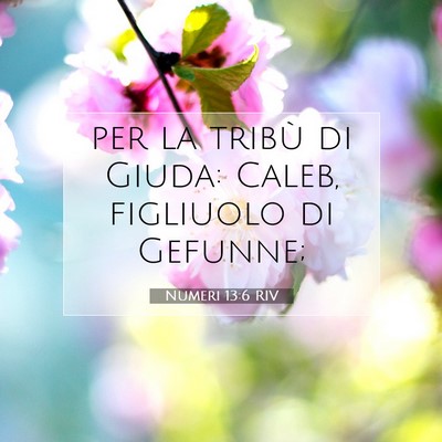 Picture 07 - Numeri 13:6 RIV - per la tribù di Giuda: Caleb, figliuolo di - Bible Verse Picture