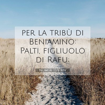 Picture 07 - Numeri 13:9 RIV - per la tribù di Beniamino: Palti, figliuolo di - Bible Verse Picture