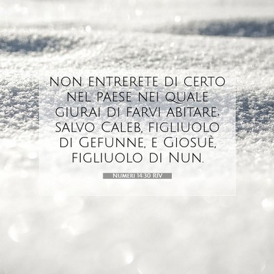Picture 07 - Numeri 14:30 RIV - non entrerete di certo nel paese nei quale giurai - Bible Verse Picture
