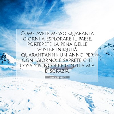 Picture 07 - Numeri 14:34 RIV - Come avete messo quaranta giorni a esplorare il - Bible Verse Picture