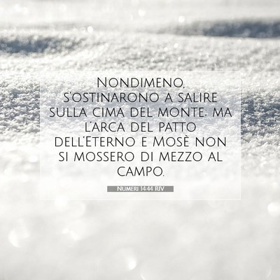 Picture 07 - Numeri 14:44 RIV - Nondimeno, s’ostinarono a salire sulla cima del - Bible Verse Picture