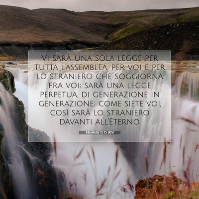 Picture 07 - Numeri 15:15 RIV - Vi sarà una sola legge per tutta l’assemblea, - Bible Verse Picture