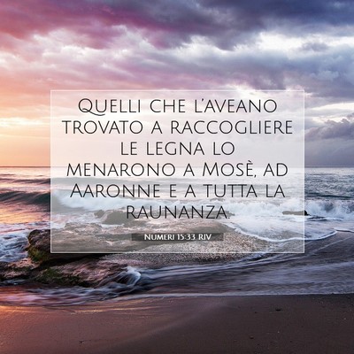 Picture 07 - Numeri 15:33 RIV - Quelli che l’aveano trovato a raccogliere le - Bible Verse Picture