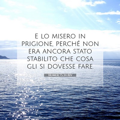 Picture 07 - Numeri 15:34 RIV - E lo misero in prigione, perché non era ancora - Bible Verse Picture