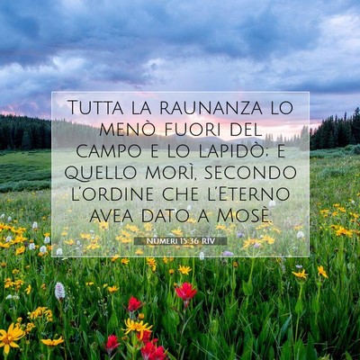 Picture 07 - Numeri 15:36 RIV - Tutta la raunanza lo menò fuori del campo e lo - Bible Verse Picture