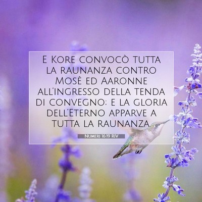 Picture 07 - Numeri 16:19 RIV - E Kore convocò tutta la raunanza contro Mosè ed - Bible Verse Picture