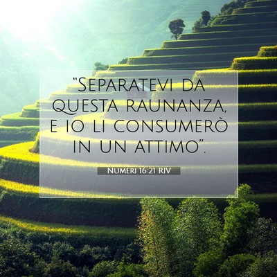 Picture 07 - Numeri 16:21 RIV - “Separatevi da questa raunanza, e io li - Bible Verse Picture