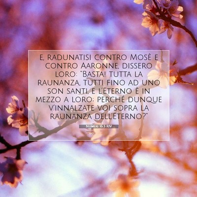 Picture 07 - Numeri 16:3 RIV - e, radunatisi contro Mosè e contro Aaronne, - Bible Verse Picture