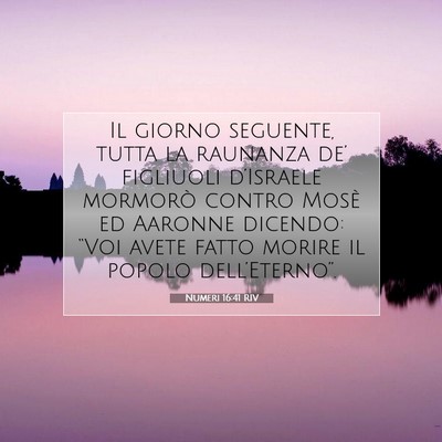 Picture 07 - Numeri 16:41 RIV - Il giorno seguente, tutta la raunanza de’ - Bible Verse Picture