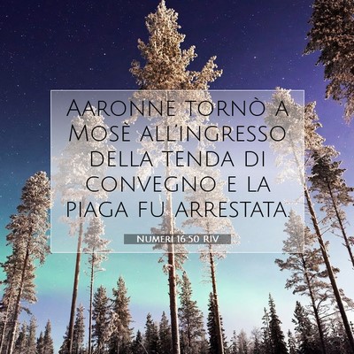 Picture 07 - Numeri 16:50 RIV - Aaronne tornò a Mosè all’ingresso della tenda - Bible Verse Picture