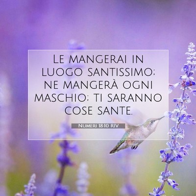 Picture 07 - Numeri 18:10 RIV - Le mangerai in luogo santissimo; ne mangerà ogni - Bible Verse Picture