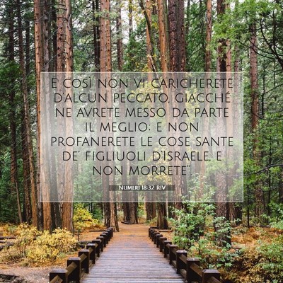 Picture 07 - Numeri 18:32 RIV - E così non vi caricherete d’alcun peccato, - Bible Verse Picture