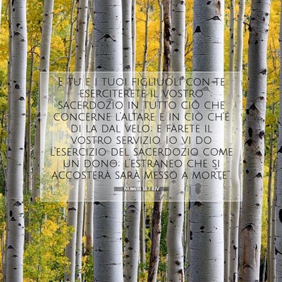 Picture 07 - Numeri 18:7 RIV - E tu e i tuoi figliuoli con te eserciterete il - Bible Verse Picture